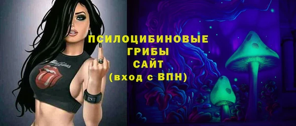 ПСИЛОЦИБИНОВЫЕ ГРИБЫ Алзамай