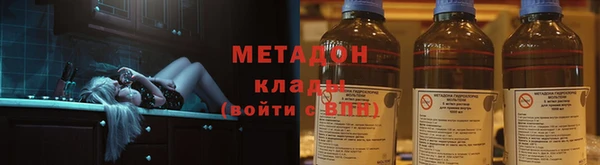 прущие грибы Абаза