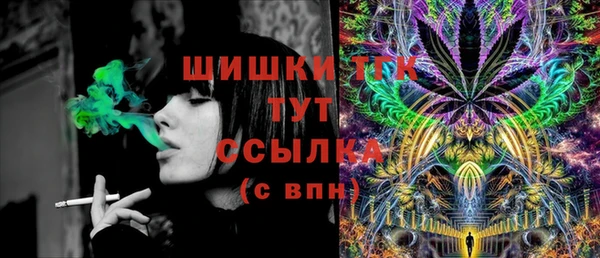 ПСИЛОЦИБИНОВЫЕ ГРИБЫ Алзамай